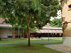 Blk 572 Hougang Street 51 (Hougang), HDB 4 Rooms #128619152
